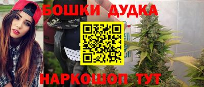 индика Балашиха