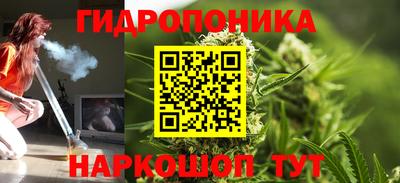 индика Балашиха