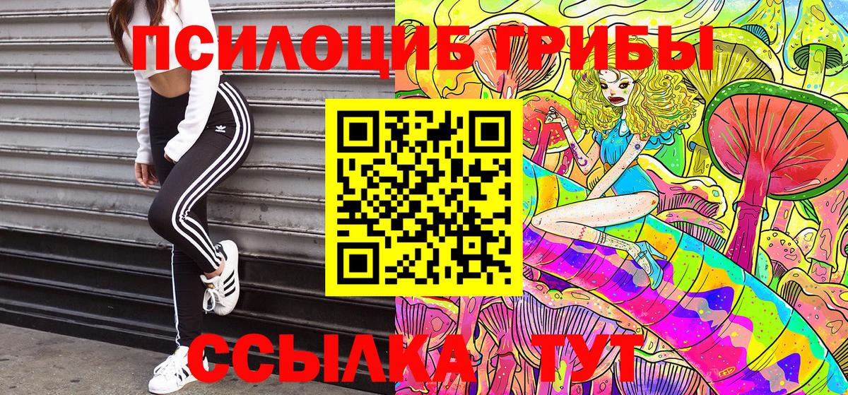 Электросталь  Псилоцибиновые грибы мицелий  Вход с VPN 