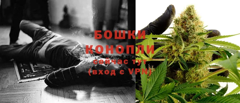 Бошки Шишки SATIVA & INDICA  купить наркотики цена  MEGA ONION  Электросталь 